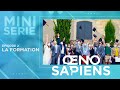 Srie oenosapienspisode 2  la formation