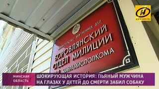 Мужчина жестоко убил собаку на глазах у детей Мужчина жестоко убил собаку на глазах у детей
