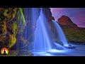 🔴 Deep Sleep Music 24/7, Healing Music, Meditation Music, Sleep Music, Relaxing Music, Study, Sleep