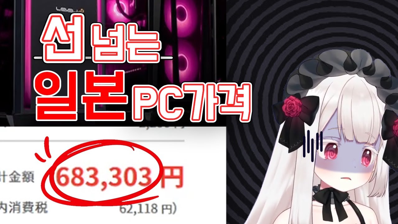 컴잘알 분들 나와주세요~ 라즈마의 새 컴퓨터 고르기!