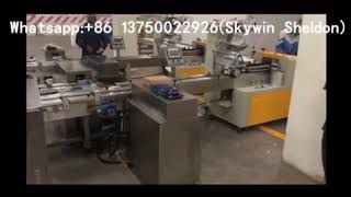 Skywin Wafer Packing Line