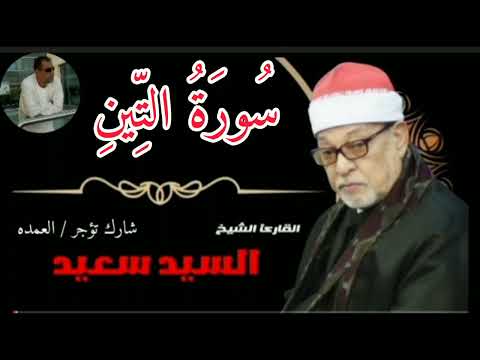 سورة التين كاملة الشيخ السيد سعيد 