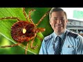 Doctors Say A Tick Was Behind A Pilot's Mysterious Death