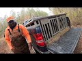 Deer hunting with dogs eastern NC #killshot