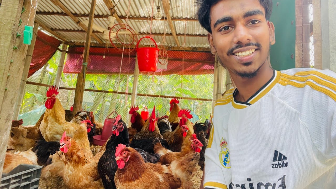 এই ৩ টি বিষয় জানা থাকলে খামার করে সফল হবেন সম্পূর্ণ ভিডিও দেখুন। 