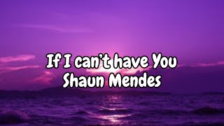 Shaun Mendes - If I can't have You (Lyrics)