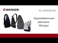 Видеообзор однолямочных рюкзаков Wenger