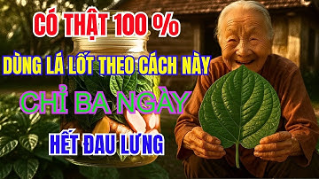 SHOOK : BÀ CỤ 103 TUỔI TIẾT LỘ CÁCH NGÂM LÁ LỐT - HẾT ĐAU LƯNG