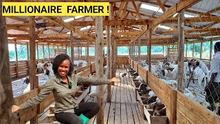 Cost of Starting A Simple Goat Farm Business For More Profits! | 2024 (DETAILED) by Value Farm 61,316 views 3 months ago 24 minutes