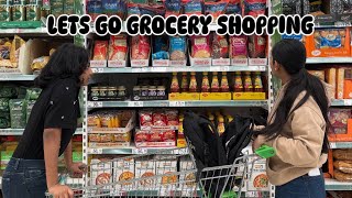 Let's go Grocery Shopping | Asda & Aldi UK | Malayalam | Vlog | Aardra & Aarathi