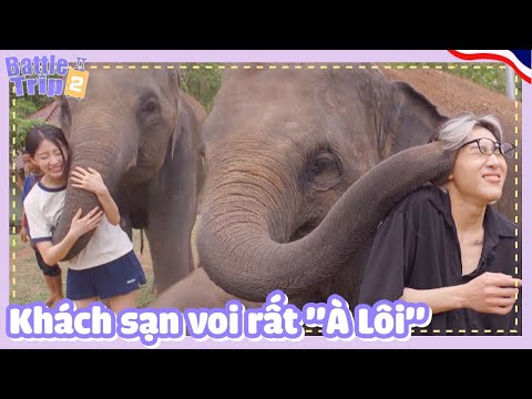 Vietsub|Bambam Yein Kinh Ngc Trưc V D Thương Thân Thin Ca Các Chú Voi Thái|230607 Kbs World Tv