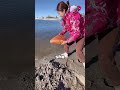 The million dollar stone is right out in the open!