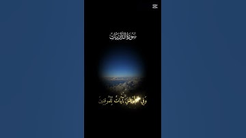 تلاوة من سورة الذاريات ❤️ #قرآن #المصحف #الرحمن #راحة_نفسية #اكسبلور