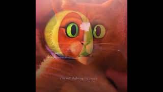 Puss Was Really Good In This Scene Resimi