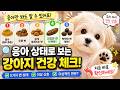 강아지 응아만 봐도 건강 상태를 알 수 있습니다