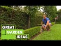 Tips  tricks for perfect hedging  gardening  great home ideas