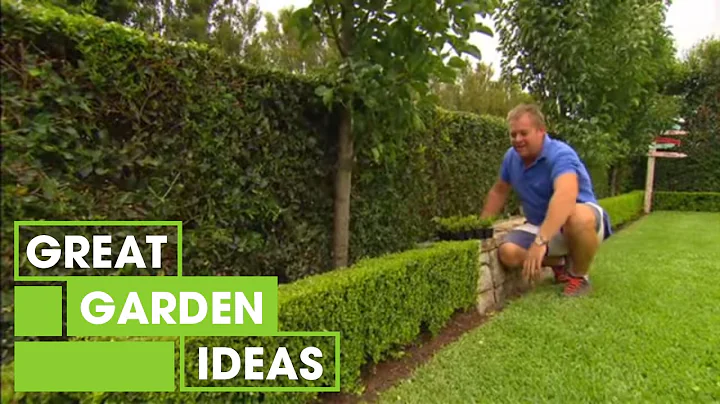 Tips & Tricks For Perfect Hedging | Gardening | Great Home Ideas - DayDayNews