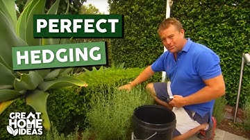 Perfect Hedging Made Easy for Beginners