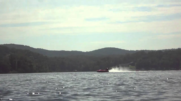 Nelson's Allison 01