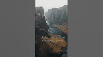 إِنَّكَ مَيِّتٌ وَإِنَّهُم مَّيِّتُونَ _سورة الزمر - تلاوة هادئة خاشعة بصوت الشيخ ياسر الدوسري