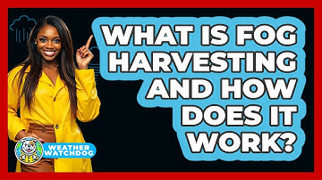 What Is Fog Harvesting And How Does It Work? - Weather Watchdog