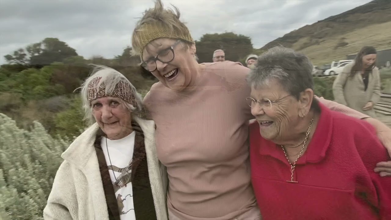 The Ballad of Dy & Ronnie by The Moonbirds