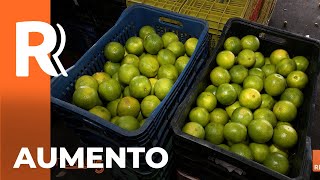 Aumento do preço da laranja