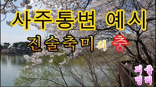 사주통변 예시 진술축미의 충, 재성의 충 합 - 피클명리