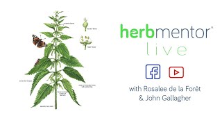 HerbMentor Live with Rosalee & John, featuring Stinging Nettle