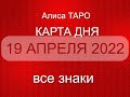 19 АПРЕЛЯ 2022 🎈 КАРТА ДНЯ ДЛЯ ВСЕХ ЗНАКОВ 🌸 ♓♒♑♐⚖️♍🦁♈♉♊🦀🦂❣️