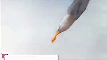 Unity is the best power new funny video and Whatsapp status // Like & Share #short