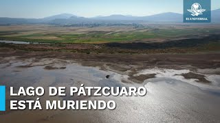 Sequía, deforestación y extracción de agua están matando a el Lago de Pátzcuaro