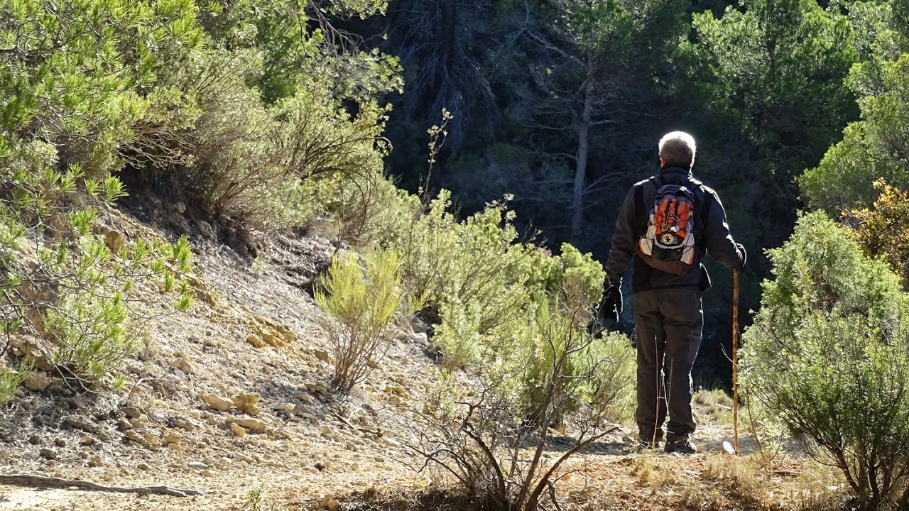 La Carrasca / Barranco de Enmedio (Sierra Espuña) Murcia.