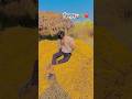 किसान👳🏻♂️🌾❤️ #farming #tractor #trending #shortvideo #youtubeshorts #video