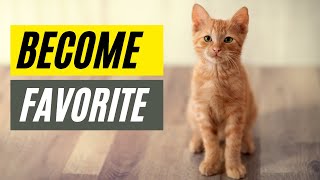 7 Ways Cats Choose Their Favorite Person