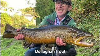 DAERA Inland Fisheries Instream Works
