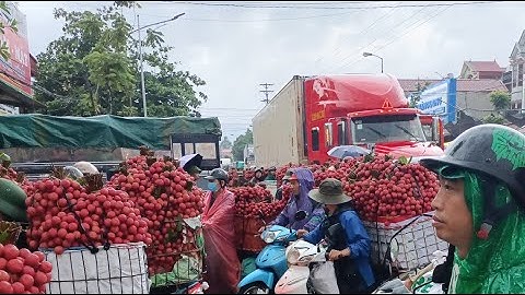 chợ vải thiều Lục Ngạn Bắc Giang hôm mưa to tầm tã: Lanh Lục Ngạn