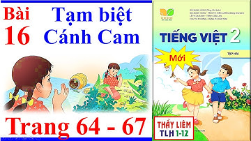 Tiếng Việt Lớp 2 Bài 16 Tuần 26 | Tạm Biệt Cánh Cam | Trang 64 - 67 | Kết Nối Tri Thức | Tập 2 | Mới