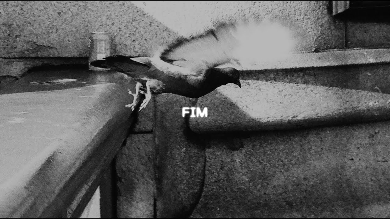 Watch Fim on YouTube Watch Fim on YouTube