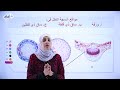أول ثانوي 1️⃣1️⃣ الأحياء 🧬 || مراجعة الوحدة السادسة (النقل في النبات) 🔥 أول ثانوي 1️⃣1️⃣ الأحياء 🧬 || مراجعة الوحدة السادسة (النقل في النبات) 🔥