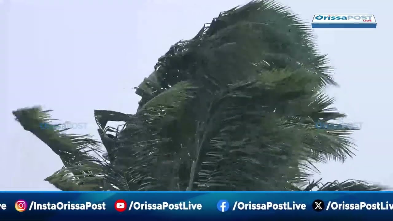 Nor'wester storm wreaks havoc in Odisha || Mayurbhanj worst affected
