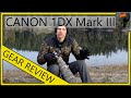 Canon 1DX III Review: A Bird Photographers Perspective