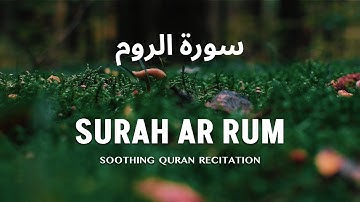 Surah Ar Rum - سورة الروم | The Romans | #QuranicWisdom