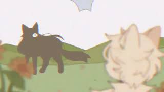 Jamie Joycawn Reupload