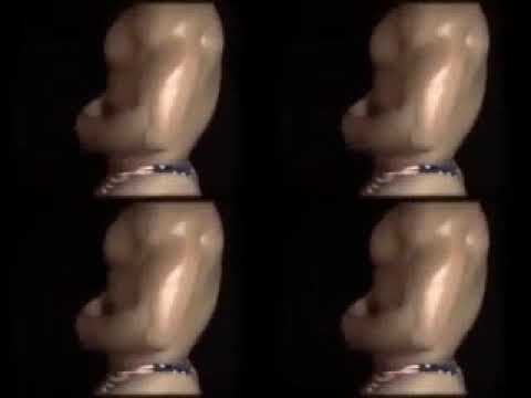 O şimdi asker canı rape ister (O Şimdi Asker earrape) (Reupload)