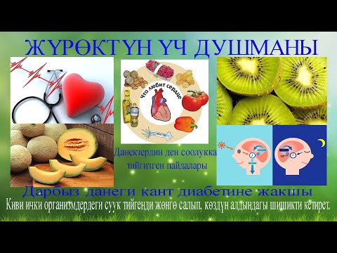 Video: Иттеги жүрөк оорусун кантип аныктаса болот