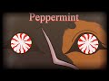 Peppermint || Warriors OC PMV/AMV