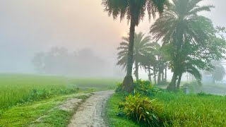 গ্রামের শীতের সকাল।