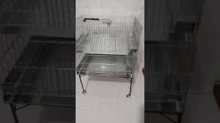 Gaiola Para Pintinhos Com Base E Rodinhas