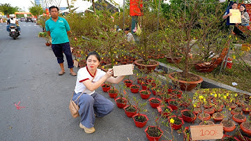 Đìu Hiu Chợ Hoa Xuân Thủ Đức chiều 28 Tết 10k 20k 50k 100k rẻ như cho nhưng hiếm người mua ở Sài Gòn